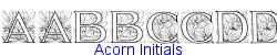 Acorn Initials  211K (2003-03-02)