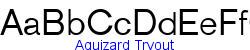 Aguizard Tryout   59K (2002-12-27)
