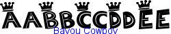 Bayou Cowboy   16K (2002-12-27)
