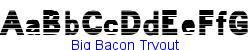 Big Bacon Tryout   75K (2002-12-27)