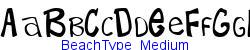 BeachType  Medium   20K (2002-12-27)