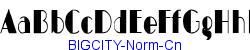 BIGCITY-Norm-Cn   21K (2002-12-27)