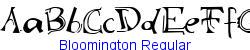 Bloomington Regular   15K (2002-12-27)