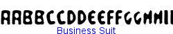 Business Suit   17K (2002-12-27)