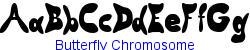 Butterfly Chromosome   17K (2002-12-27)
