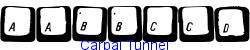 Carpal Tunnel  128K (2002-12-27)