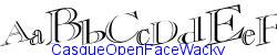 CasqueOpenFaceWacky   86K (2002-12-27)