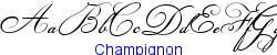 Champignon - Medium/Normal weight   19K (2005-05-03)