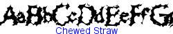 Chewed Straw   38K (2002-12-27)