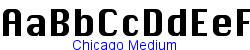 Chicago Medium   61K (2004-08-04)