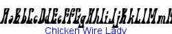 Chicken Wire Lady   21K (2002-12-27)
