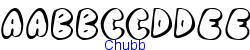 Chubb   13K (2003-01-22)