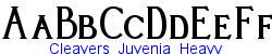 Cleavers_Juvenia_Heavy  152K (2004-09-01)