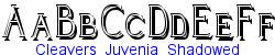 Cleavers_Juvenia_Shadowed  152K (2004-08-09)
