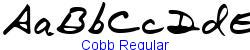 Cobb Regular   19K (2002-12-27)