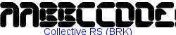 Collective RS (BRK)   34K (2002-12-27)