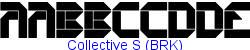 Collective S (BRK)   34K (2002-12-27)