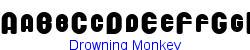 Drowning Monkey    7K (2002-12-27)