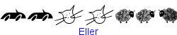 Eller   21K (2007-03-01)