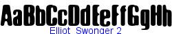 Elliot_Swonger 2   13K (2003-02-01)