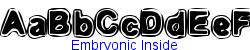 Embryonic Inside   58K (2002-12-27)