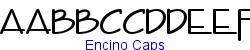 Encino Caps   23K (2002-12-27)