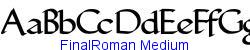 FinalRoman Medium    8K (2002-12-27)