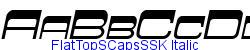 FlatTopSCapsSSK Italic   17K (2002-12-27)