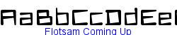 Flotsam Coming Up   13K (2002-12-27)