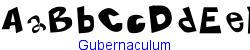 Gubernaculum    9K (2002-12-27)