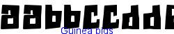 Guinea pigs    7K (2003-01-22)