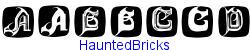 HauntedBricks   63K (2004-10-27)