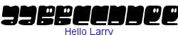 Hello Larry   10K (2002-12-27)