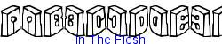 In The Flesh - Ultra-light weight   13K (2003-01-22)