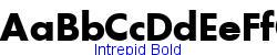 Intrepid Bold   39K (2002-12-27)