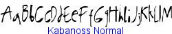 Kabanoss Normal   12K (2002-12-27)