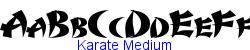 Karate Medium   15K (2002-12-27)