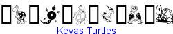 Keyas Turtles   40K (2007-03-25)