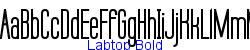 Labtop Bold - Bold weight  570K (2004-06-18)