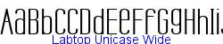 Labtop Unicase Wide  570K (2004-08-14)