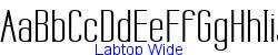 Labtop Wide  570K (2004-06-20)