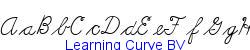 Learning Curve BV   42K (2005-03-28)