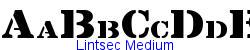 Lintsec Medium   16K (2003-03-02)