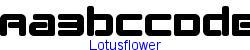Lotusflower    7K (2002-12-27)