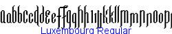 Luxembourg Regular   10K (2002-12-27)