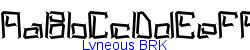 Lyneous BRK   25K (2003-08-30)