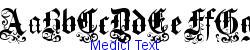 Medici Text   86K (2004-07-08)