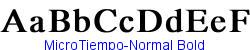 MicroTiempo-Normal Bold   50K (2002-12-27)