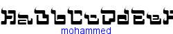 mohammed   12K (2003-03-02)