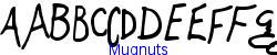 Mugnuts - Ultra-light weight   18K (2005-11-05)